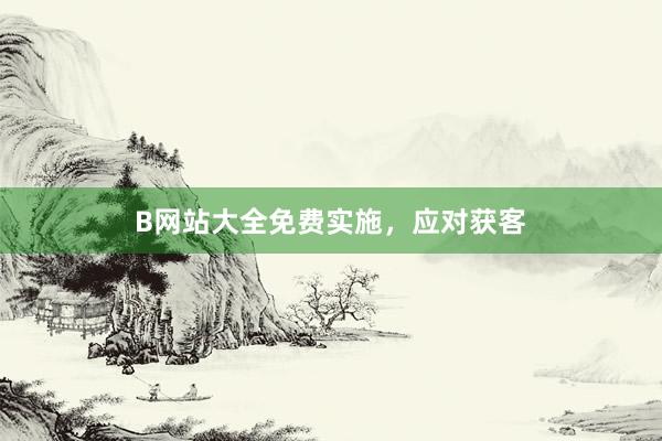 B网站大全免费实施,应对获客