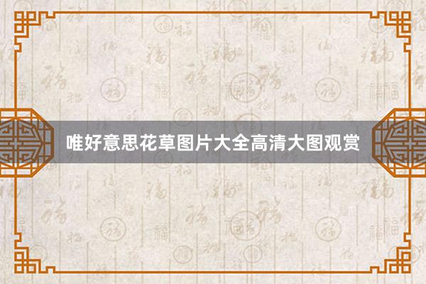 唯好意思花草图片大全高清大图观赏