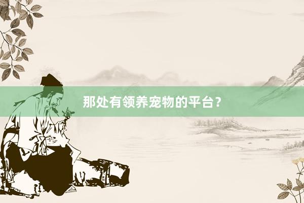 那处有领养宠物的平台？