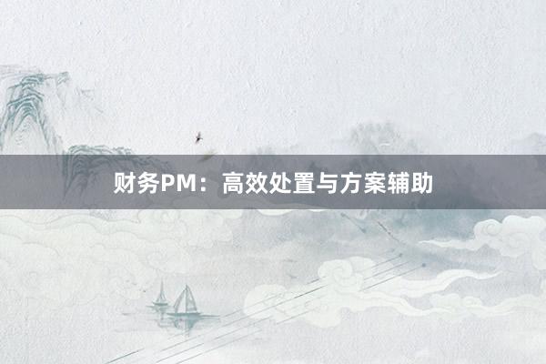 财务PM：高效处置与方案辅助