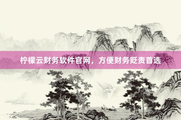 柠檬云财务软件官网，方便财务贬责首选